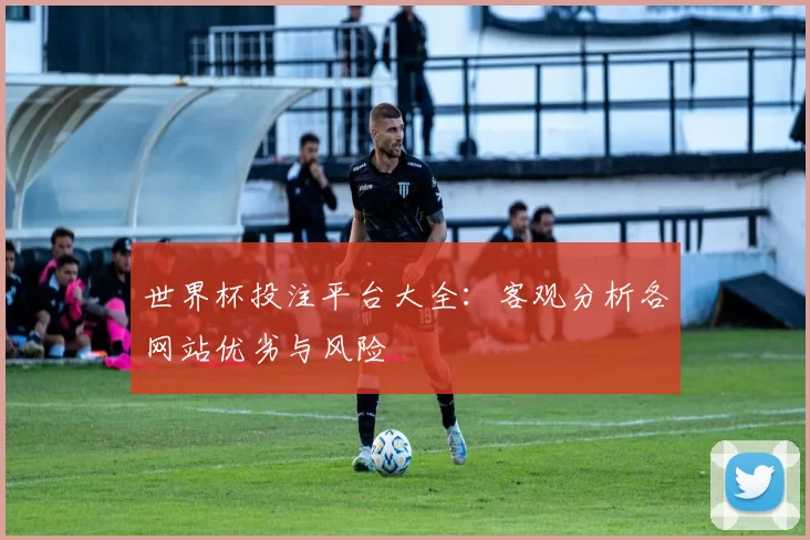 世界杯投注平台大全：客观分析各网站优劣与风险