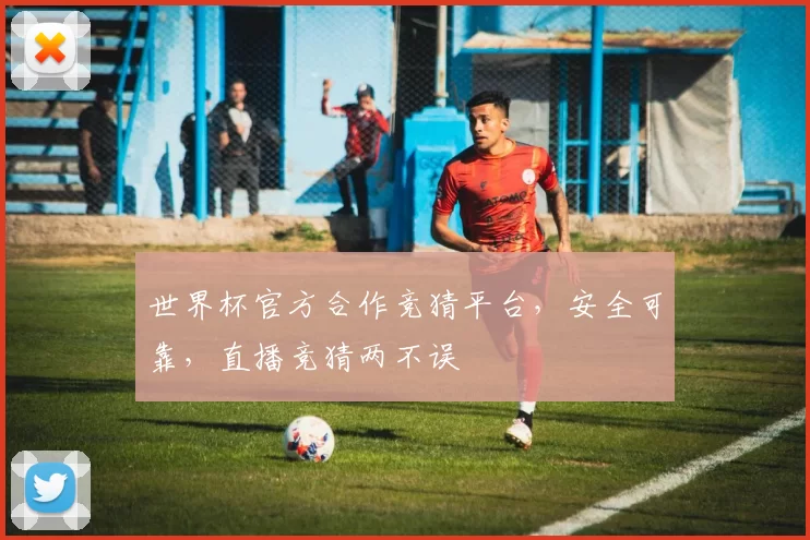 世界杯官方合作竞猜平台,安全可靠,直播竞猜两不误