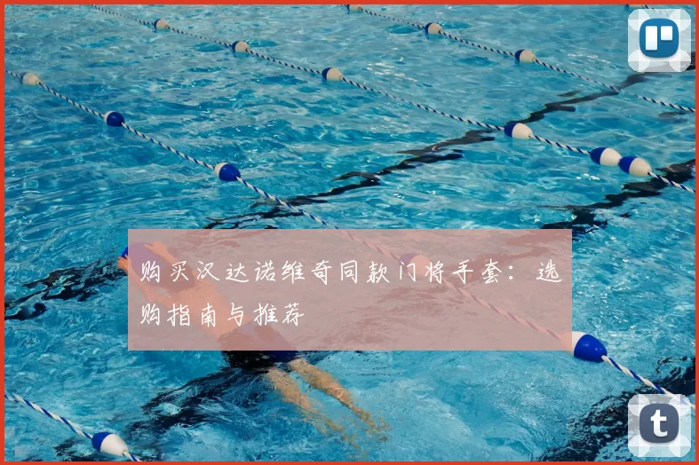 购买汉达诺维奇同款门将手套:选购指南与推荐