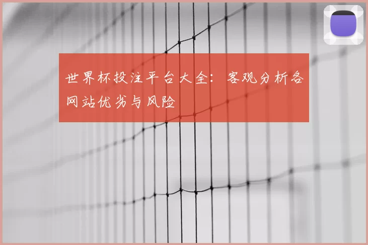 世界杯投注平台大全：客观分析各网站优劣与风险