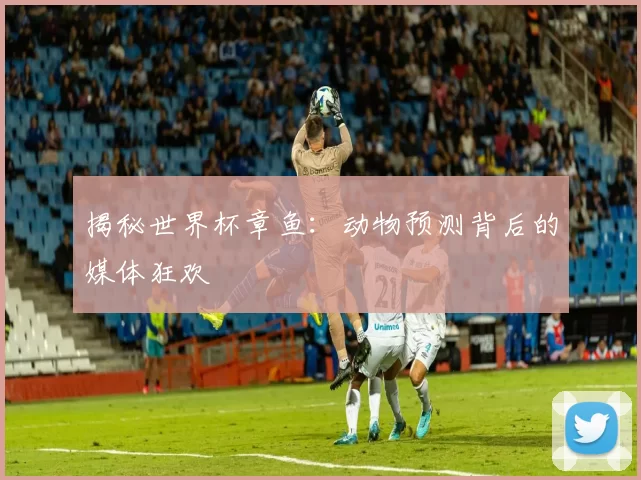 揭秘世界杯章鱼:动物预测背后的媒体狂欢