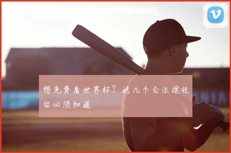 想免费看世界杯？这几个合法途径你必须知道