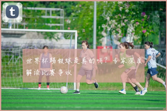 世界杯踢假球是真的吗?专家深度解读比赛争议