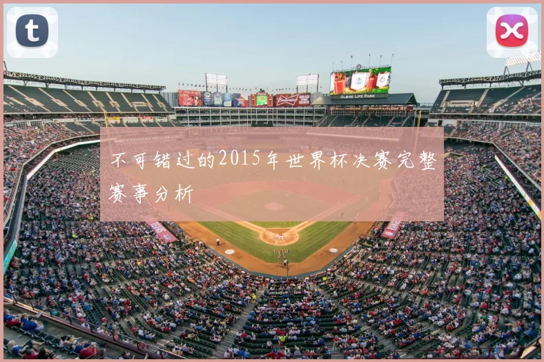 不可错过的2015年世界杯决赛完整赛事分析