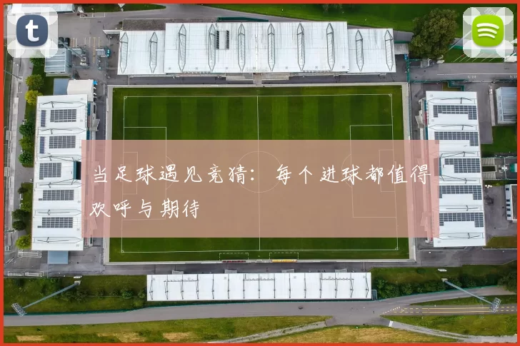 当足球遇见竞猜：每个进球都值得欢呼与期待