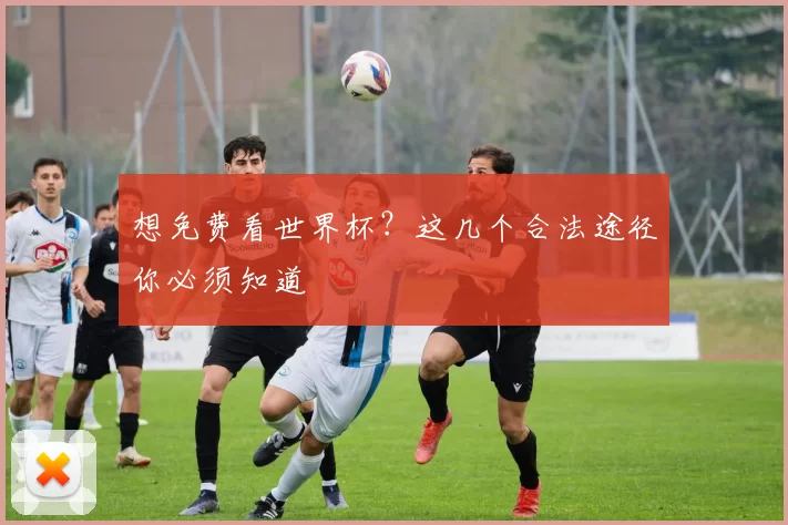 想免费看世界杯？这几个合法途径你必须知道